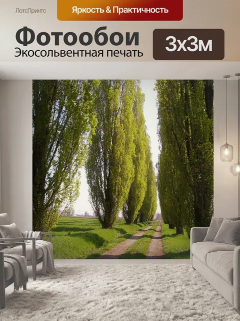 Фотообои Тополя