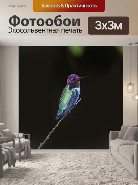 Фотообои Темный