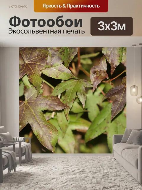 Фотообои Листья