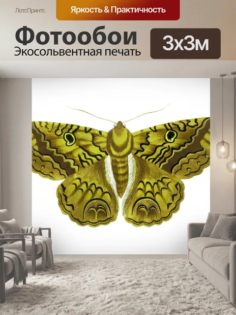 Фотообои Винтажное искусство бабочки