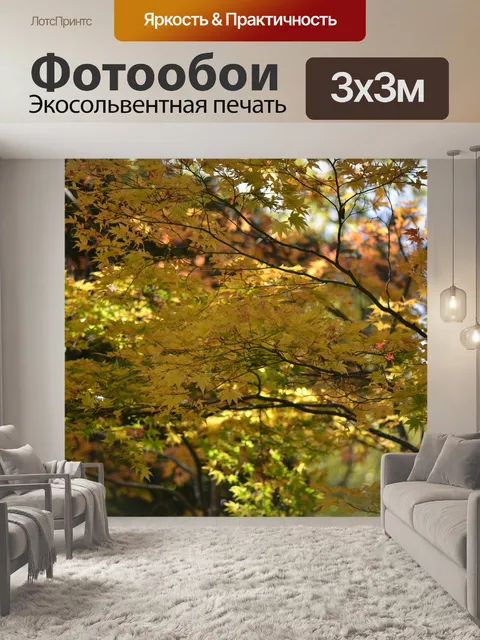 Фотообои Лес