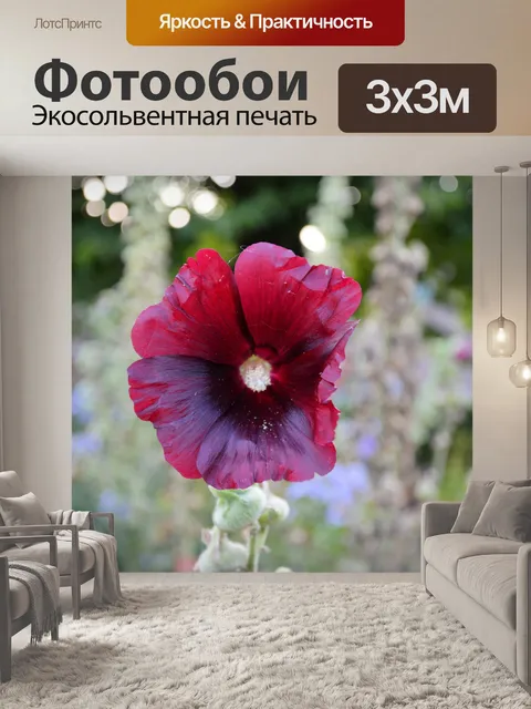 Фотообои Темно красный