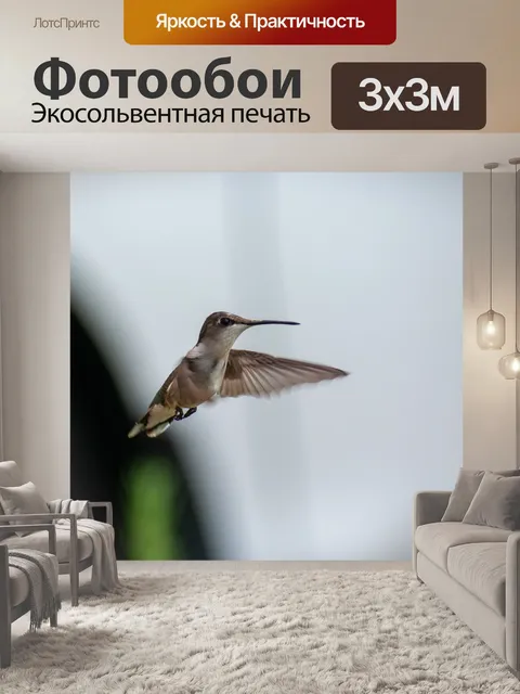 Фотообои Птица