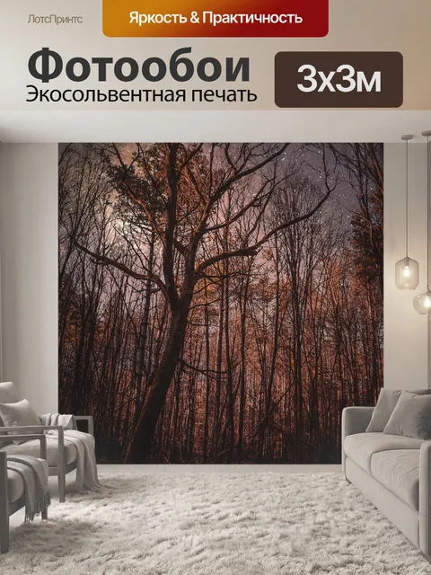 Фотообои Лес