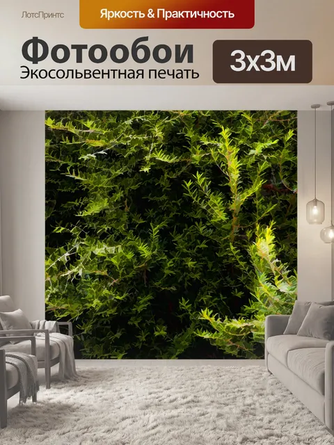 Фотообои Зеленое дерево фона