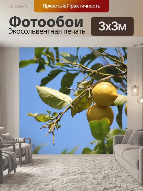 Фотообои Лимонное дерево