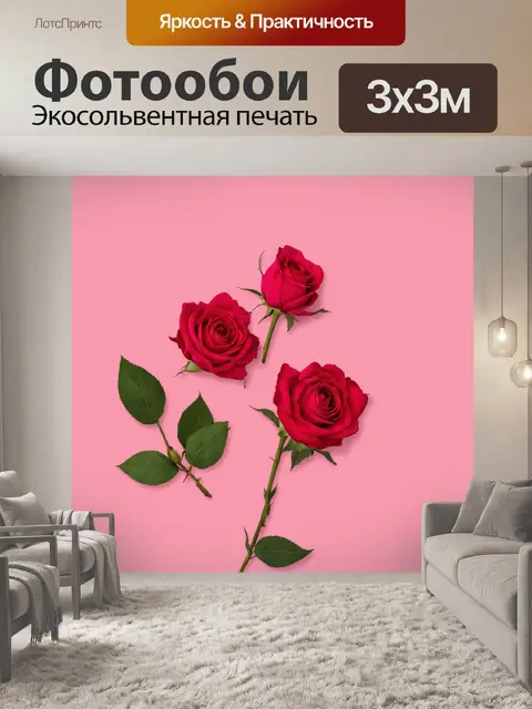 Фотообои розы в стиле минимализм