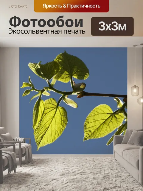 Фотообои Лист