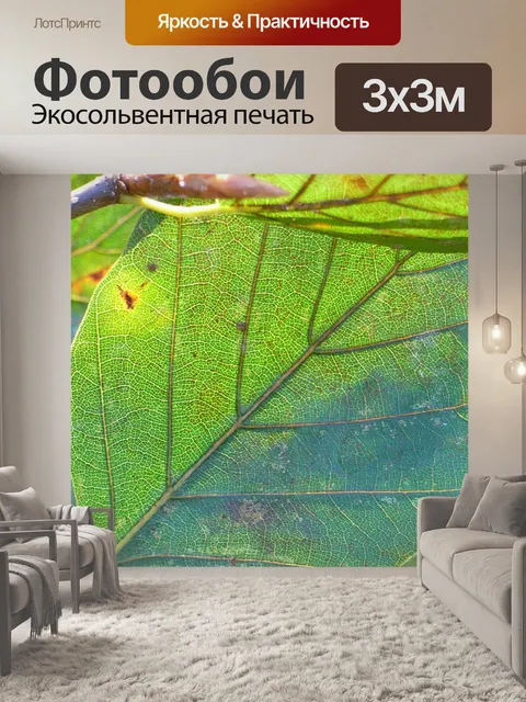 Фотообои Лист