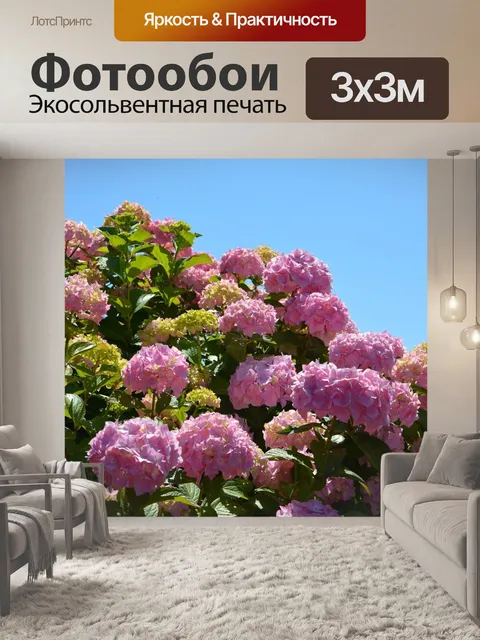 Фотообои Гортензии
