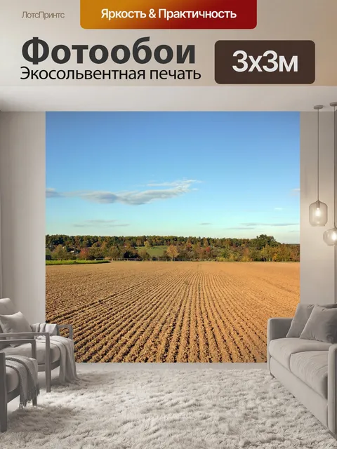 Фотообои Поля