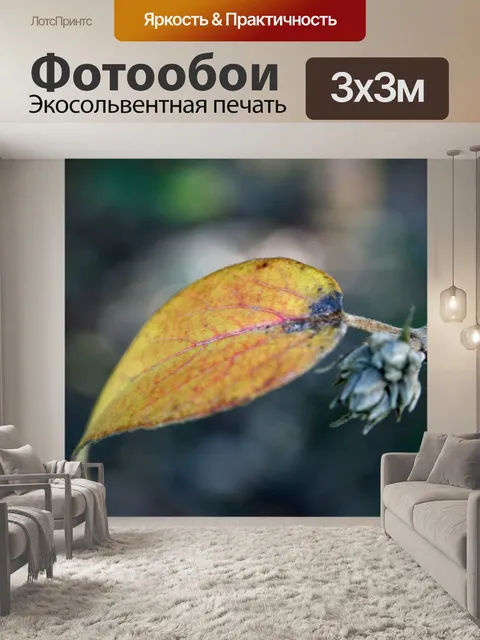 Фотообои Листья