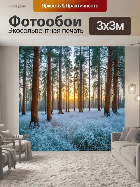 Фотообои рассвет в лесу из сосен, когда секреции покрыты инеем, представляя яркие моменты холодного утра