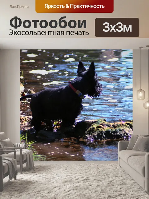Фотообои Собака