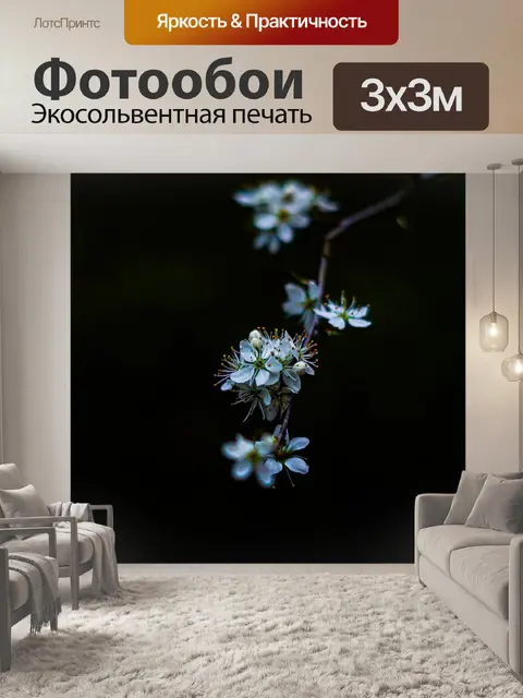 Фотообои Белый