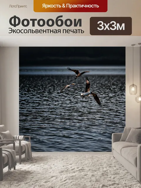Фотообои темный фон с рябью на поверхности озера и парящими птицами, создающими ощущение покоя и свободы