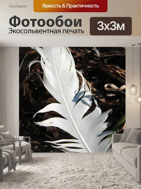 Фотообои Перья