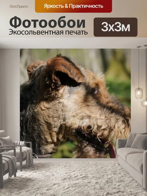 Фотообои Собака