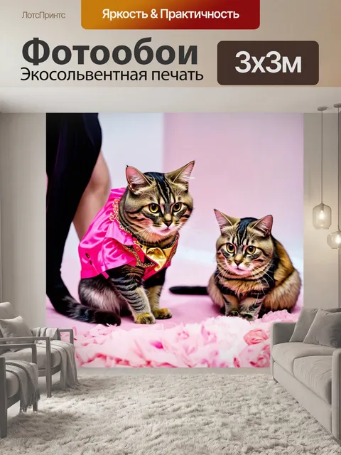 Фотообои кошки, создающие наряды для модного показа