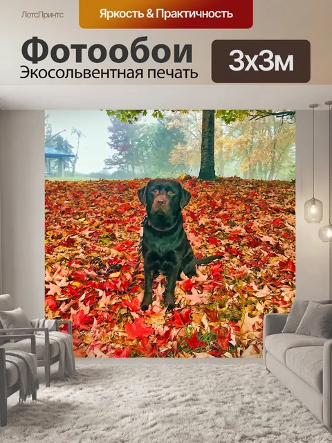 Фотообои Собака в осенних листьях
