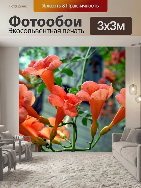 Фотообои Красивые цветы (б)