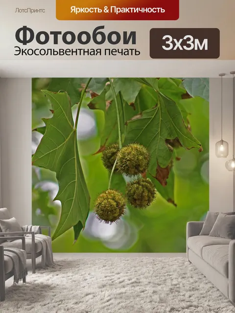 Фотообои Природа