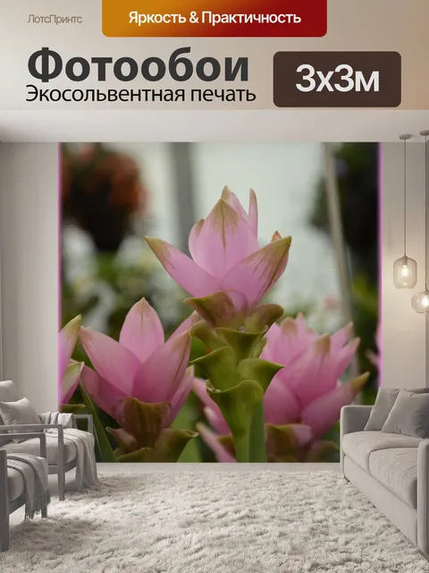 Фотообои Голландские цветы в садах 65