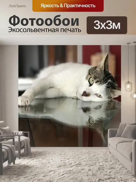 Фотообои Кот