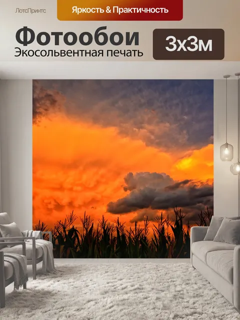 Фотообои Закат