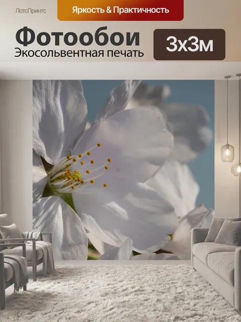 Фотообои Цветы