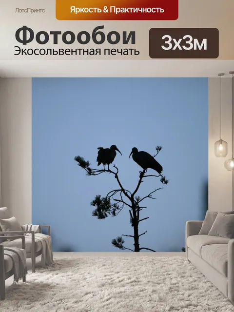 Фотообои пара Хадида птиц