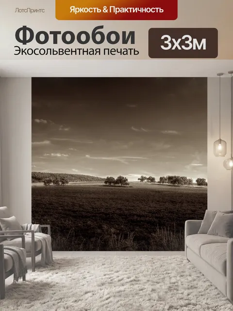 Фотообои Сепия