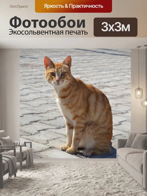 Фотообои Кошка