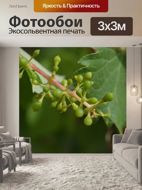 Фотообои Природа