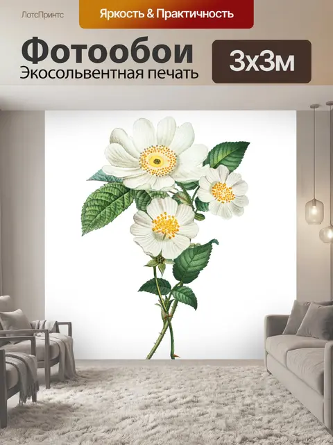 Фотообои Винтаж Клипарт Роза цветок