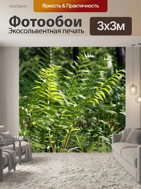 Фотообои Папоротник