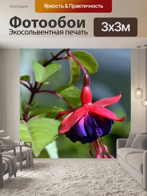 Фотообои Фуксия