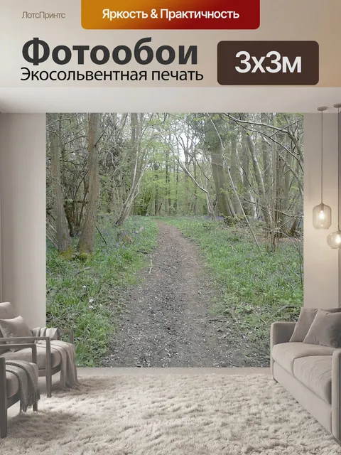 Фотообои Деревня Путь