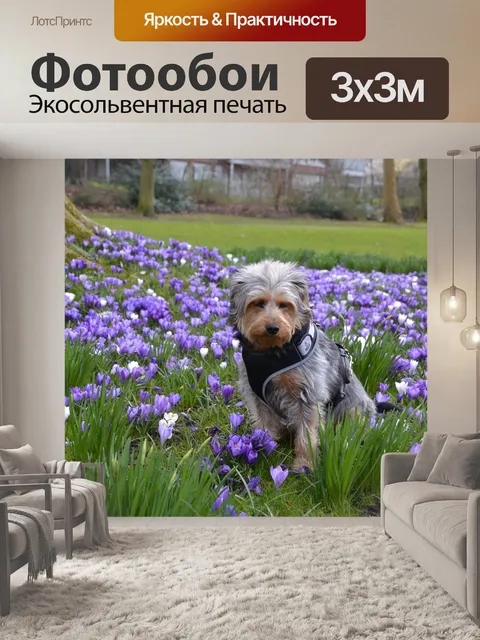Фотообои Собака