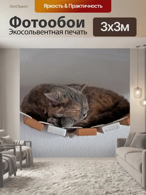 Фотообои Кот