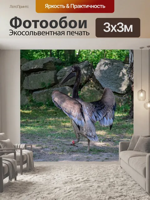 Фотообои Птица