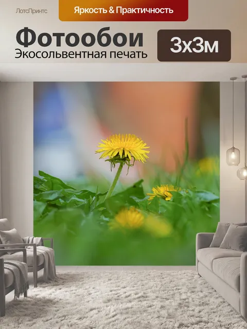 Фотообои Цветок