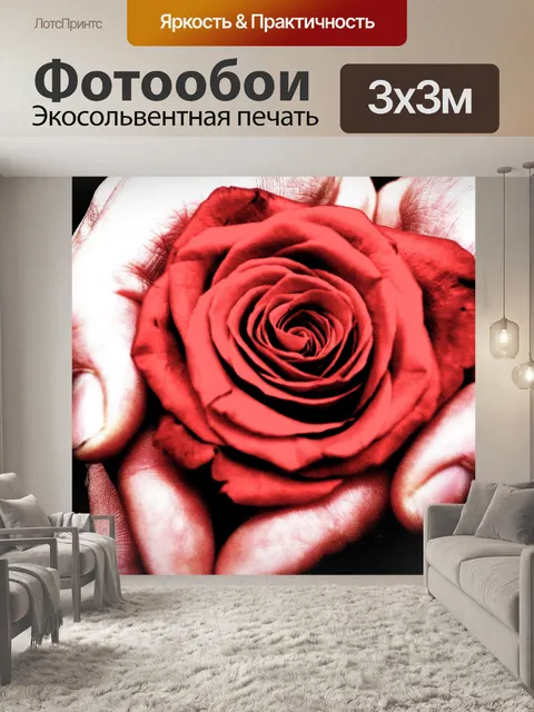 Фотообои Роза в руках