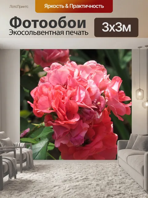 Фотообои Тропический
