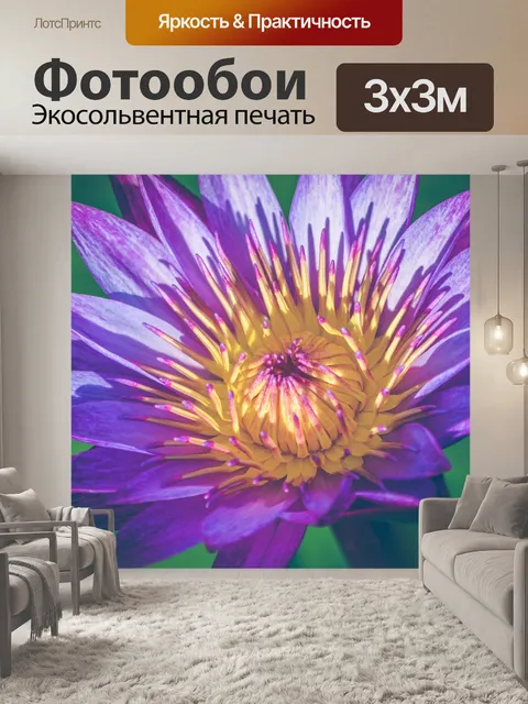 Фотообои Река