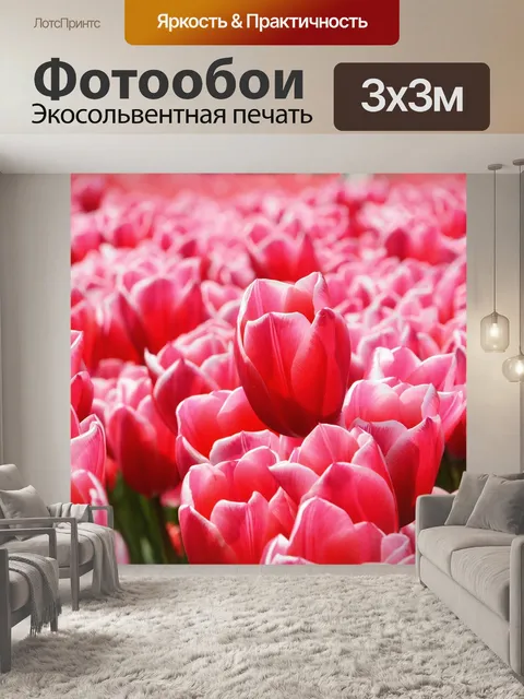 Фотообои Тюльпаны