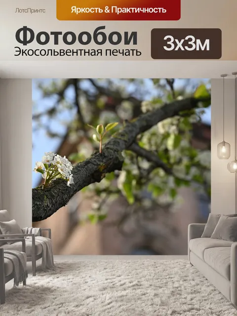 Фотообои Цветок
