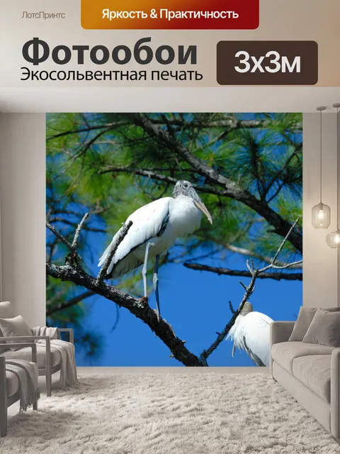 Фотообои Тропические птицы