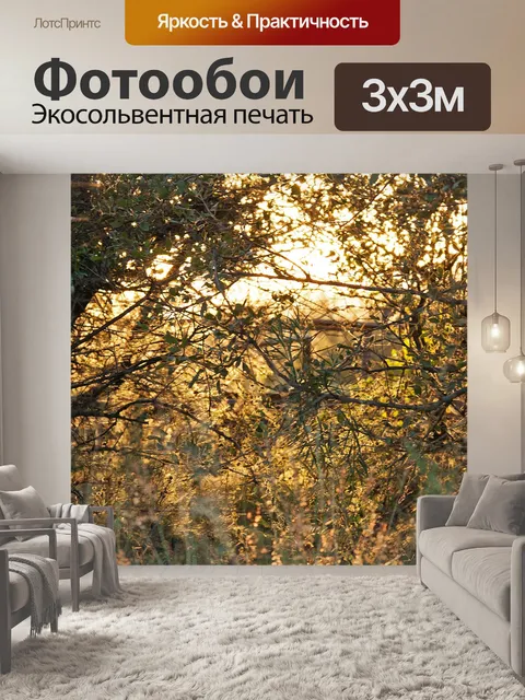 Фотообои Свет на щетке