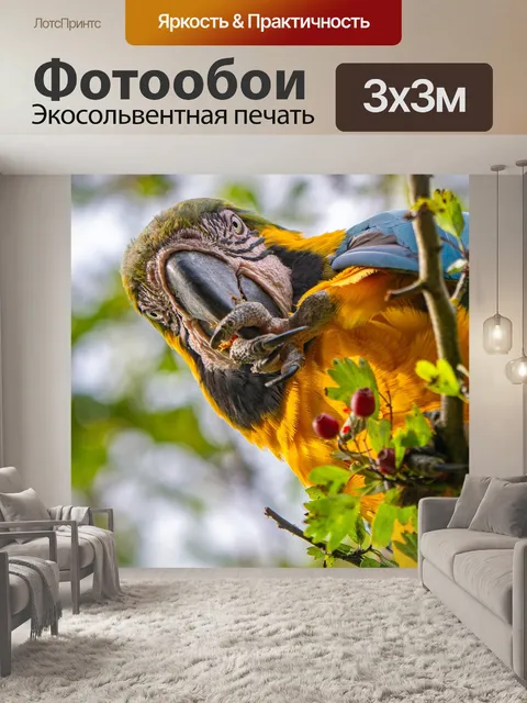 Фотообои Попугай